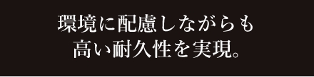 アップルレザーのサブタイトル